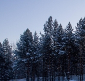 Ход строительства дома 3 в ЖК GloraX Экосити Премиум -